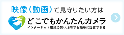 動画で見守りたい人はどこでも簡単カメラ